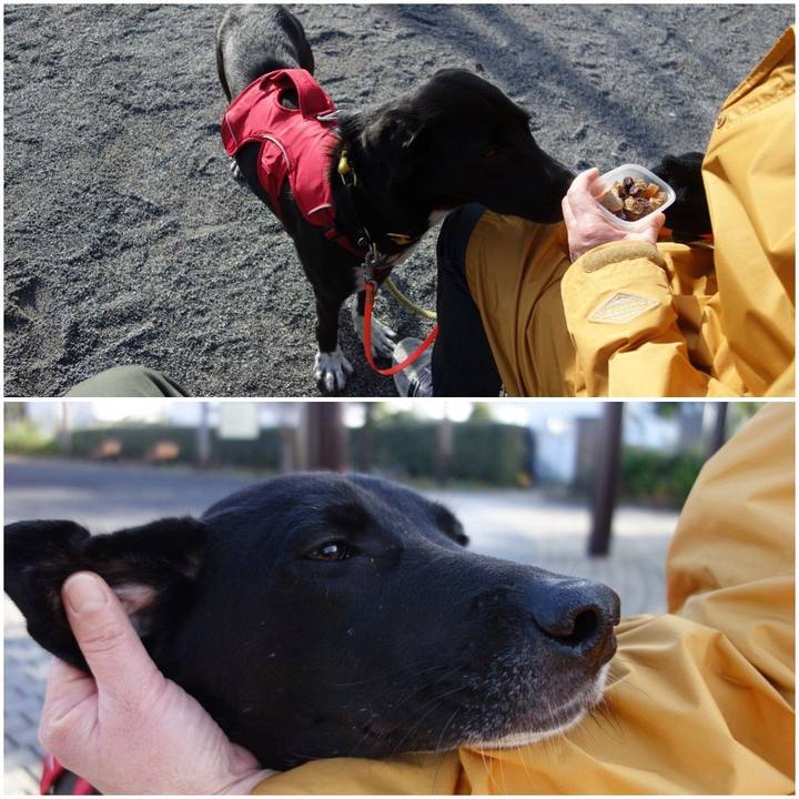 1f2fa907 f25d 47dc 95c6 30cb0d01341d 1583198425546