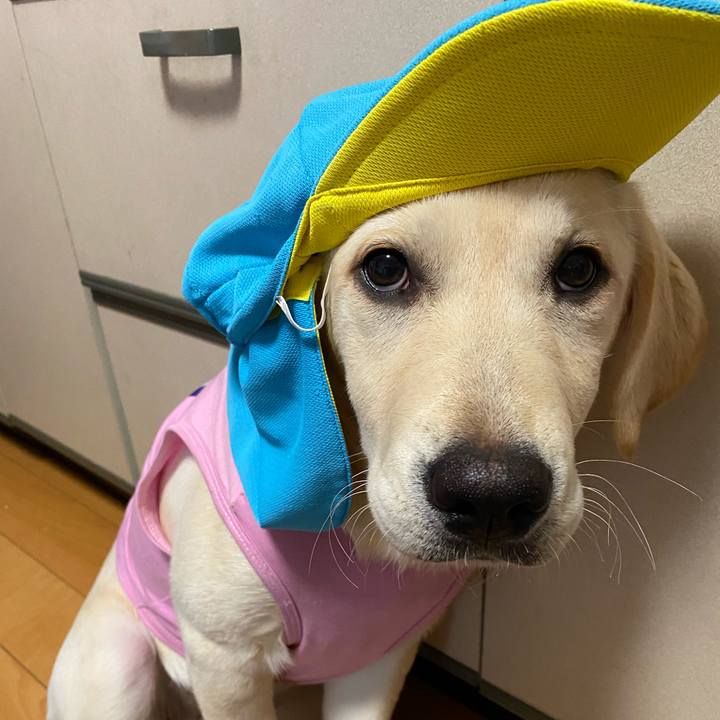 1f2fc708 e68d 4950 9286 c46c8b98c13b 1616144156782