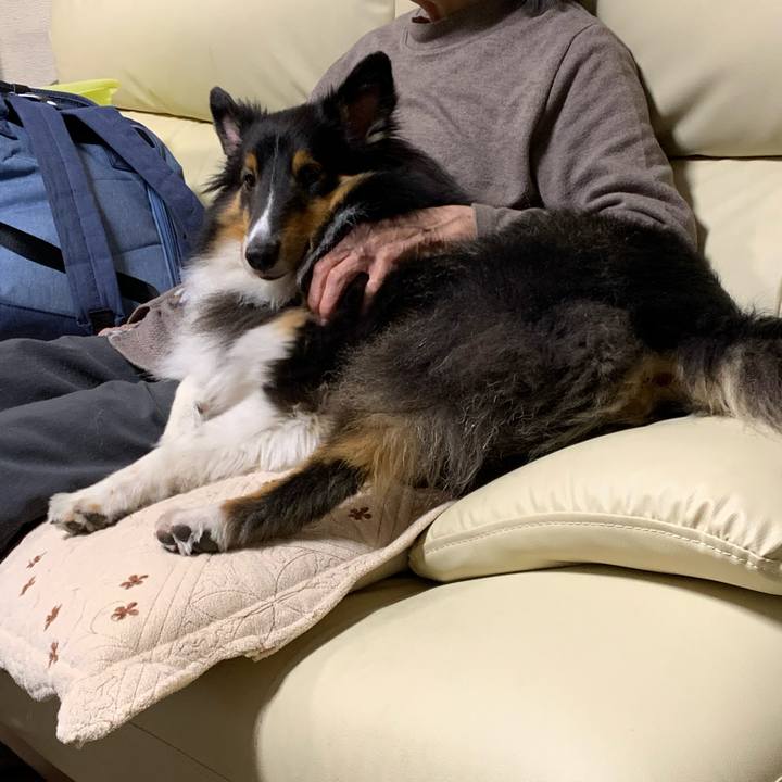 1f2fd94a fb0b 4e17 be12 0b026b8fa16b 1603318756643