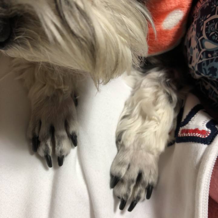 1f2fea9e 2ee6 4c47 96cc 9901dd5e1b0f 1524143555215