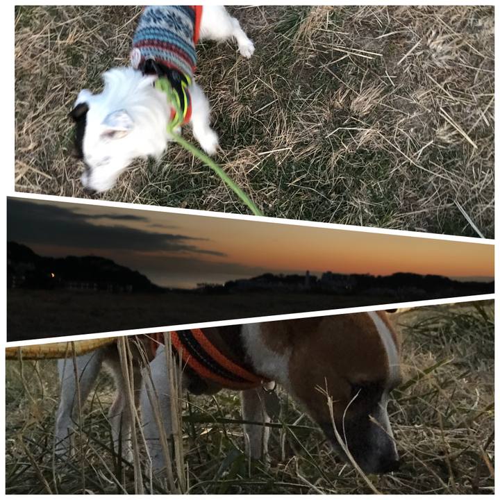 1f2fefb8 5293 4c2f ab9d a1fd0ce54d15 1513326998202