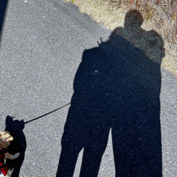 1f303c20 d2c5 42a8 8a5f 6f809668788f 1673086004201