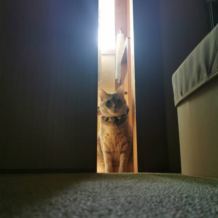 1f306025 717e 48a7 b1b1 614805ec2a18 1652244092574