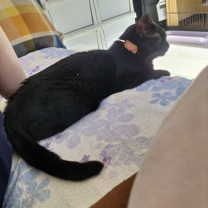 1f3090da d65b 4f83 b120 6e9cf83dccee 1659136469158