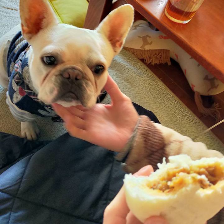 1f30d0f0 8db2 4c37 bf5c 3b11be8b0171 1639781578919