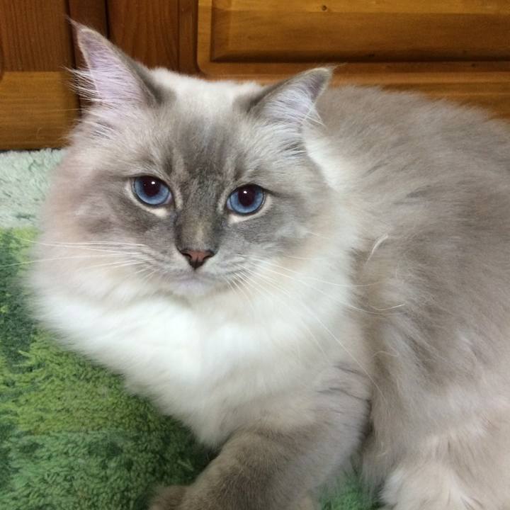 1f30e864 a6ee 482a 9a9f 44c29e8f8ba0 1693009901714