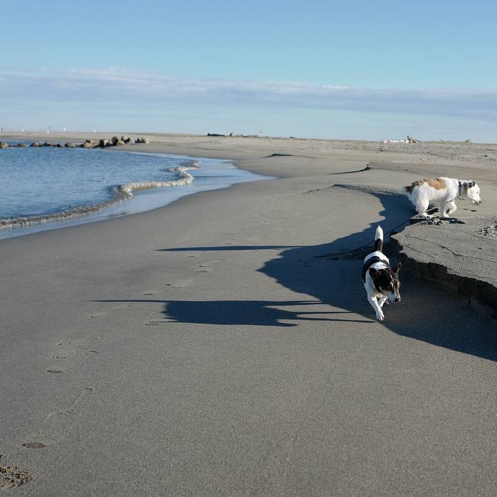 1f30e932 6b59 46e3 8554 5a68a6b3adea 1543117176123