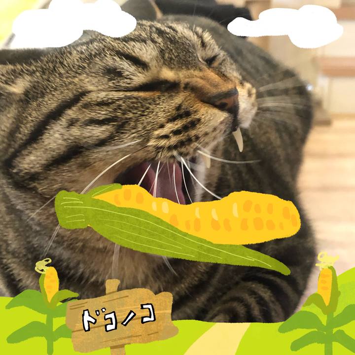 1f31009b eb8a 4175 bd64 dd23fb7ccef8 1786629401865