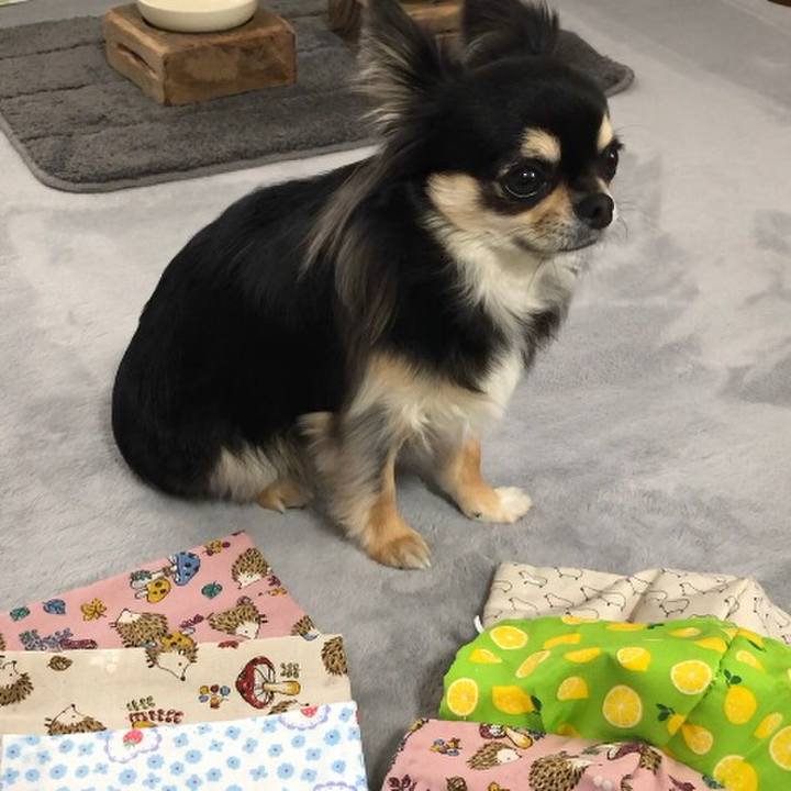 1f314e85 9d68 48b9 b755 88b195792a9a 1586738465773