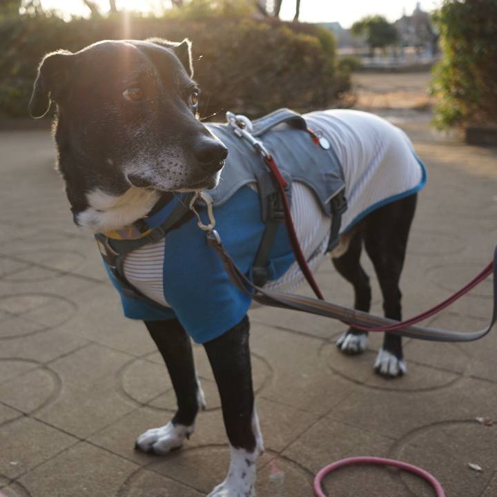 1f3150eb 57bc 4f94 bdc6 97f422a3d84b 1768437000052