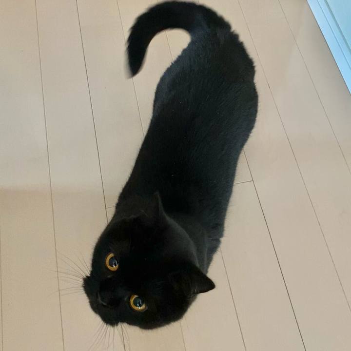 1f315ad4 f0cd 453e a688 5722aff31330 1631483431292