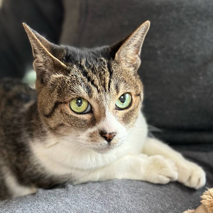 1f316028 327f 4417 988b 0ecb136df795 1673920611786