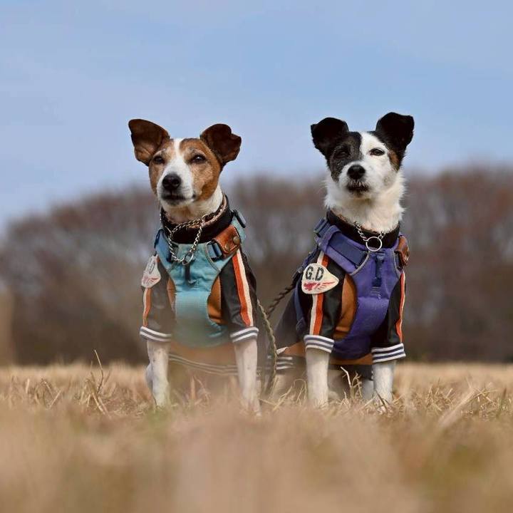 1f316fc7 9206 4a31 a513 ccedee96859d 1771160067091