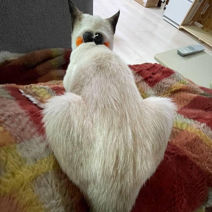 1f3178f7 602b 4628 a236 2c5994308771 1696798486306