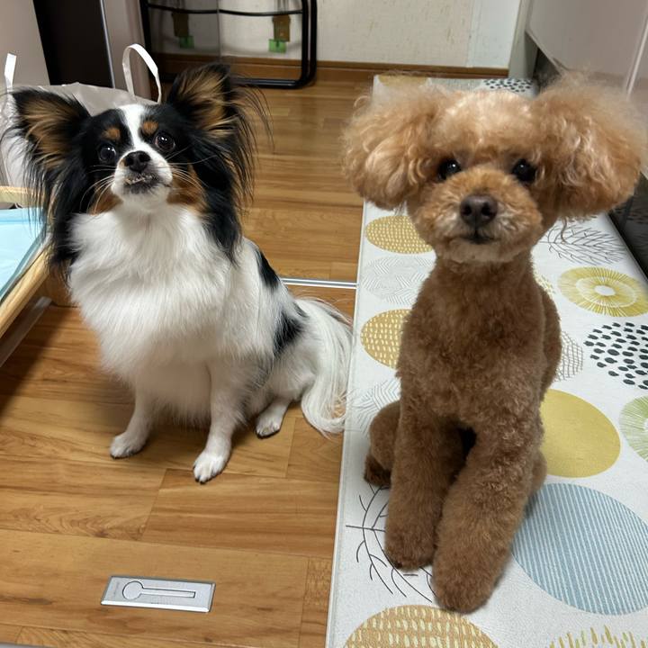 1f31adad d6fd 4c41 a160 afac13e81420 1766550536303