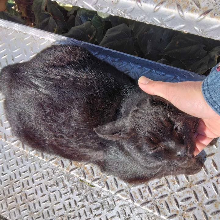 1f31c34d 7fbb 4d8e 9654 e4bcbfe9d8e2 1711526672015