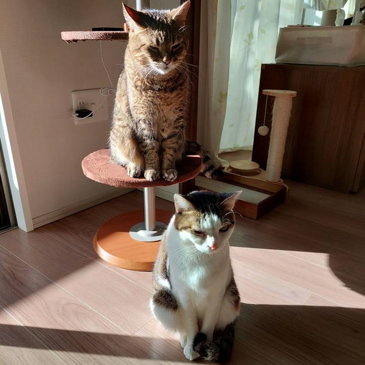 1f320f0d e2f0 4b33 90c3 5d1022bba088 1700267692815