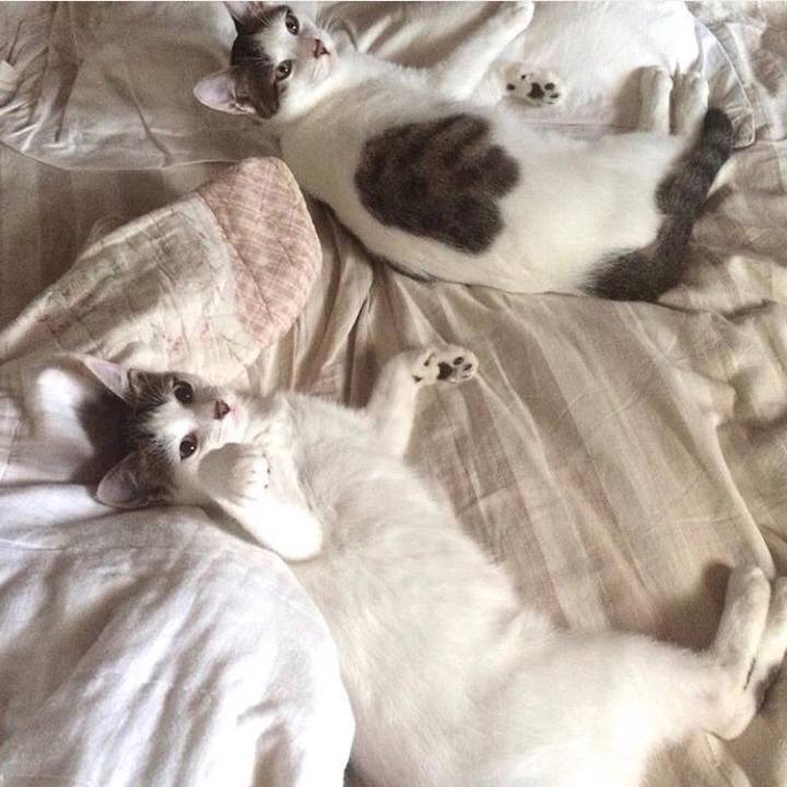 1f3260e2 5225 4f2d 8916 8ce3a864bc58 1528171446123