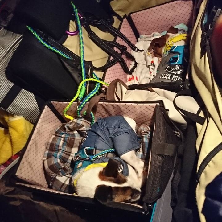 1f3280eb d37e 4f42 8b3b a6a11d2fa5aa 1555159808529