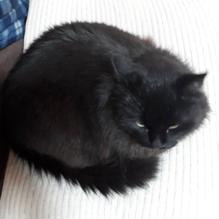 1f32a36b 745a 4a51 b8ae 9a9c4ba92586 1523263841150