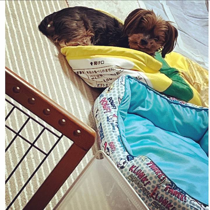 1f32b7bc 1dca 421c 9d9f d4ad1badf792 1692055017255