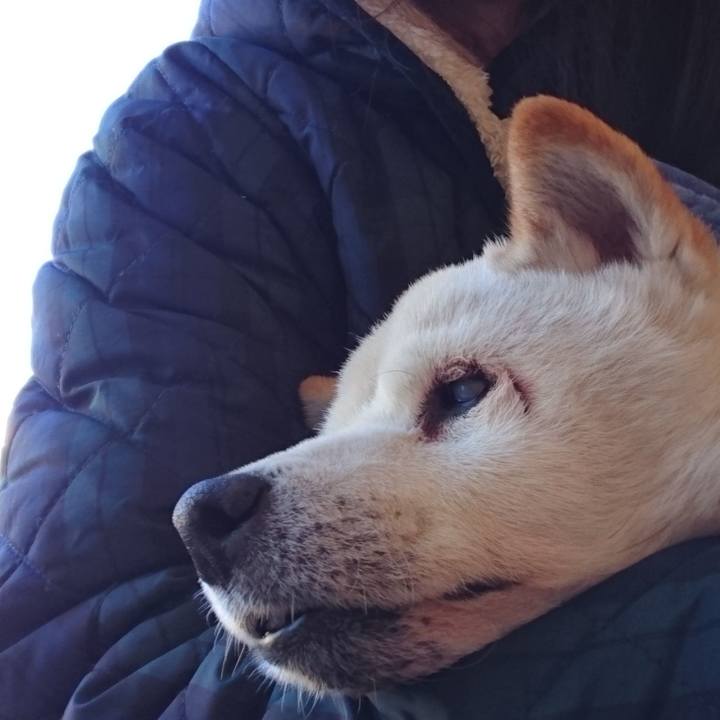 1f32cf40 af47 4fd4 96ad 5ed4b32c3612 1604808406998