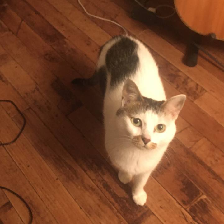 1f332f84 d7e0 4c2c b128 b3d1ad3862ac 1634637417145