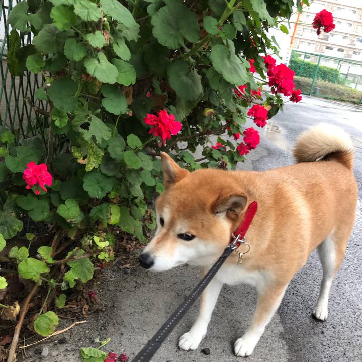 1f3362bd 4188 493a 9c9e 6b96978bdca7 1560561359106