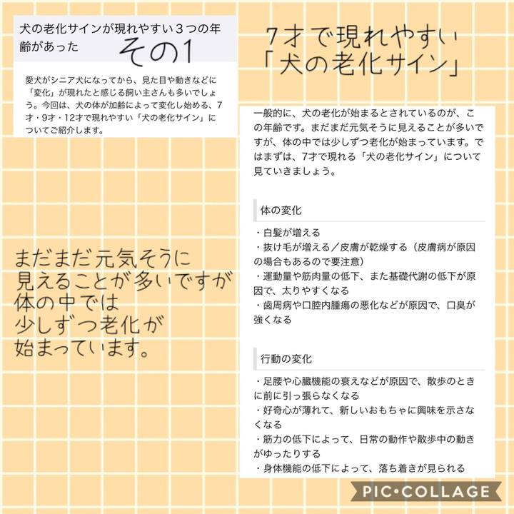 1f33662a 5b60 4053 8a12 a36692624730 1541398749303