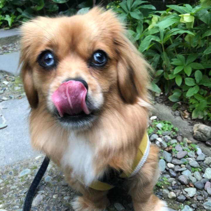 1f33c1e8 042e 458c af39 a572f2d89d0f 1524520668677