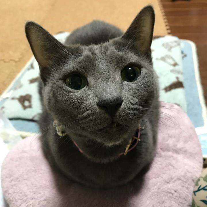 1f33c5df b938 4f21 a4a4 9f0e0f689f15 1515250366774