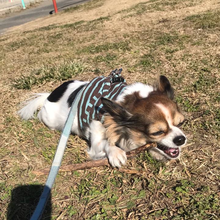 1f33d274 b8c8 40df b7f8 369c122366da 1546598021744