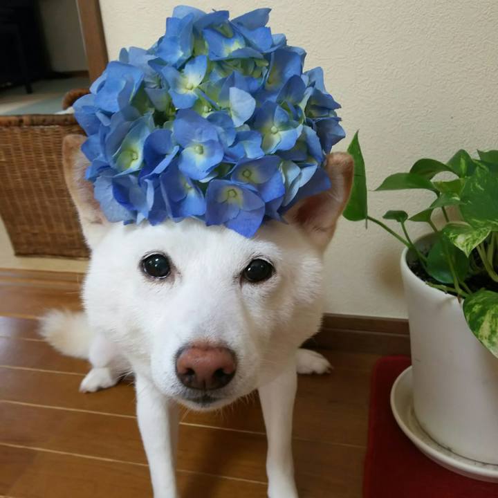 1f33e0a1 ec13 40fd abce ae2d2535d1d0 1624236761762