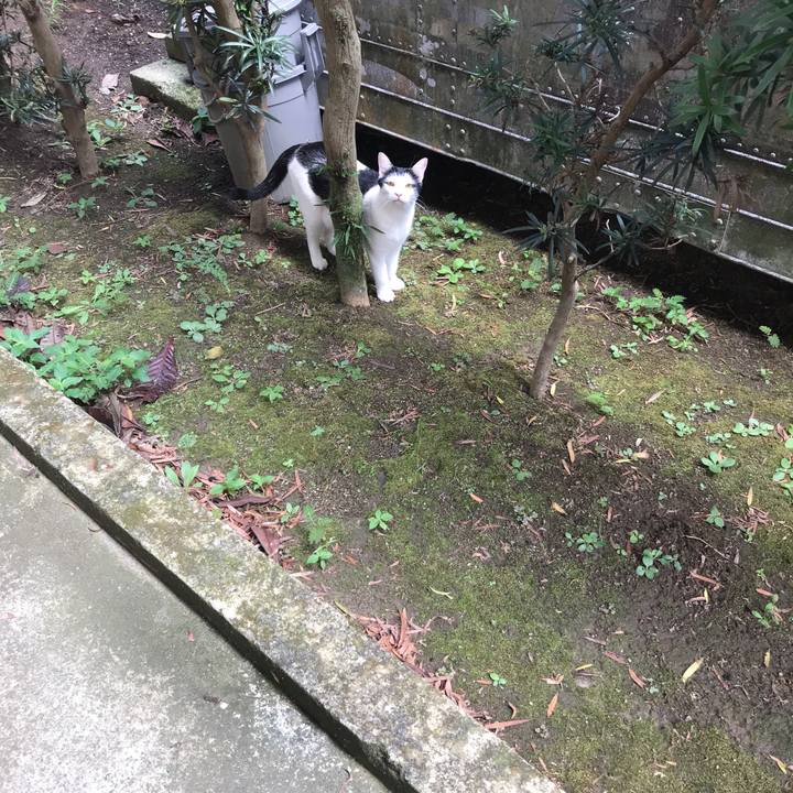 1f343a77 8725 434d 8d7f a97cd9e217cc 1536630804968