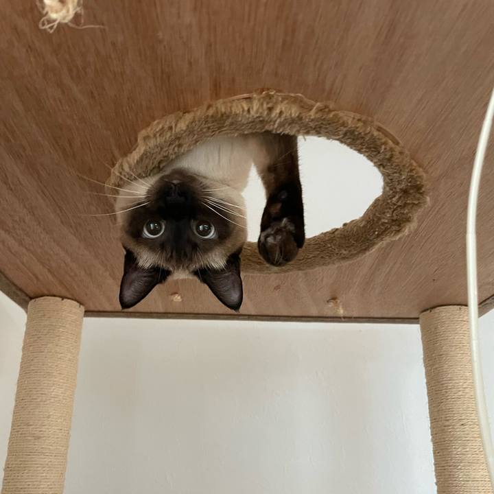 1f344077 934c 4390 bf9d 87ef44570b02 1709848965359