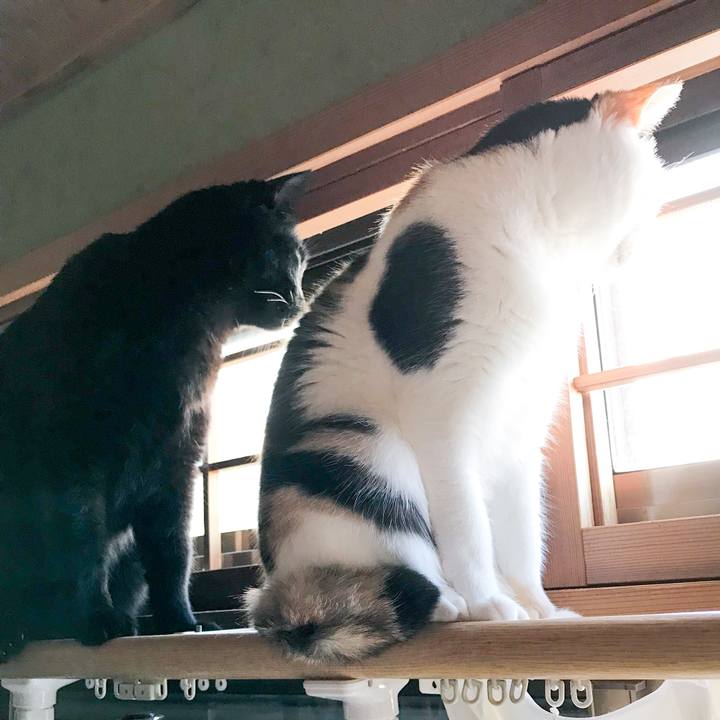 1f34657a 3916 419b 8f91 7eeeac562927 1521592579227