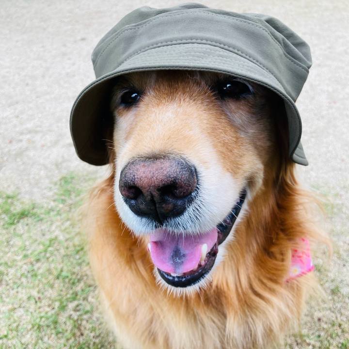 1f34720f 6fe7 400f bba1 0abf161c7759 1716960347116