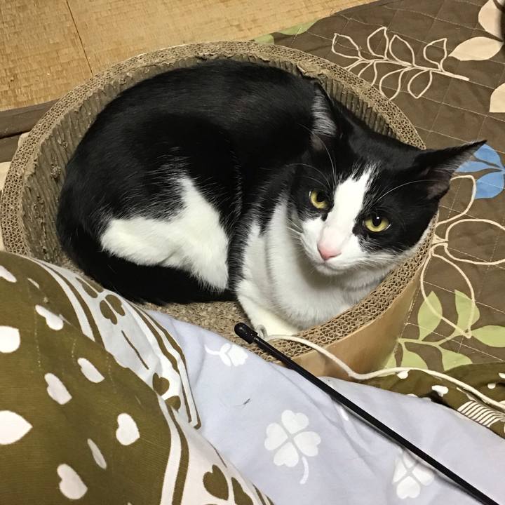 1f349229 1425 4d20 a810 f97e000934f3 1733909480284