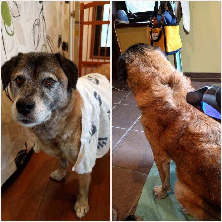 1f34a7f3 8794 4eb7 98e0 71cf3841cd49 1540255809010