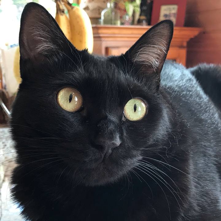 1f34da19 c74a 4eb3 960f c7c67c825374 1650671776571