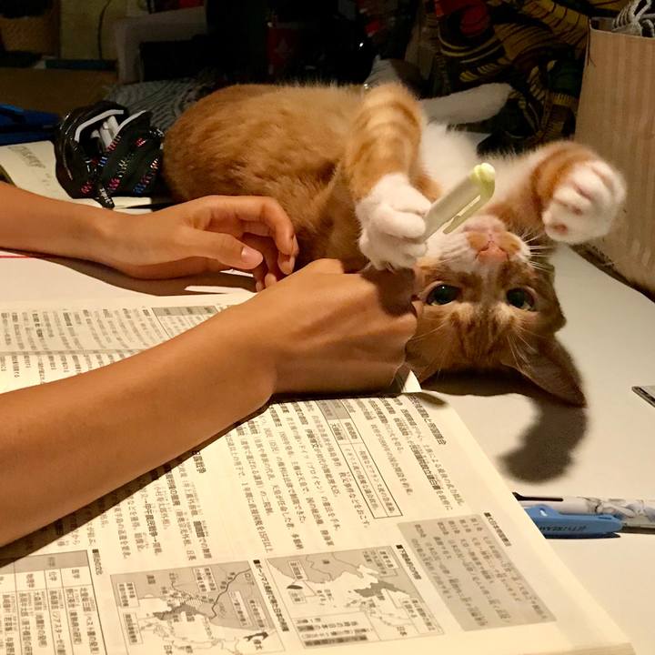 1f3537e4 07bd 425d 9452 ed3fffa15882 1534679706124