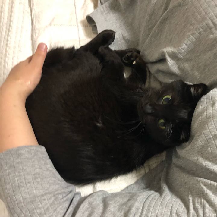 1f355178 3b96 4e2e 8e45 4e0e0b780b4d 1594039803506