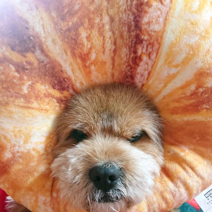 1f35661c 5dd4 4626 bcd6 3e27b0d7f350 1546815129172