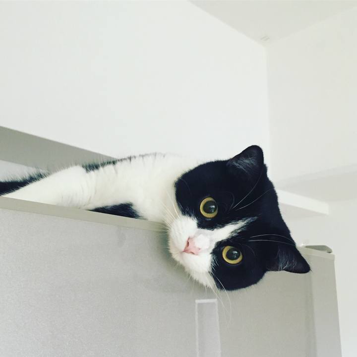 1f359b8d 2541 4ce0 8c8a 96479e6e52b7 1566591600689