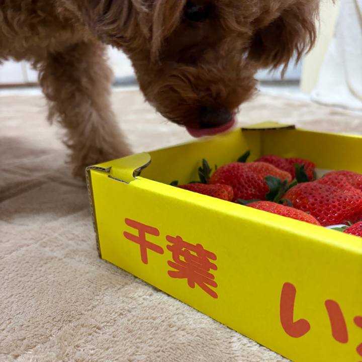 1f35ad75 60de 4b8b 95fb a48282c13b0d 1768778075888