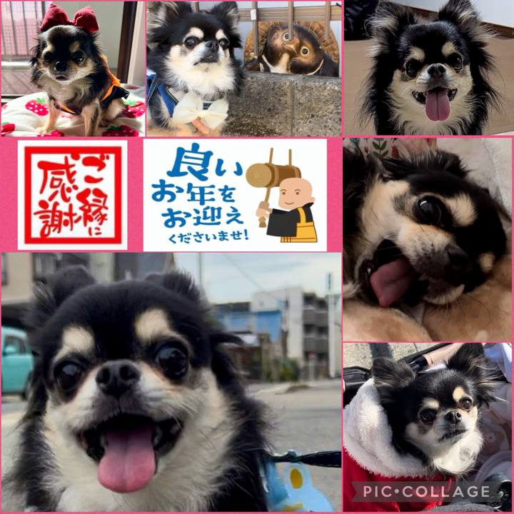 1f35b4c3 1212 4236 a145 eba1c595253a 1703923810784