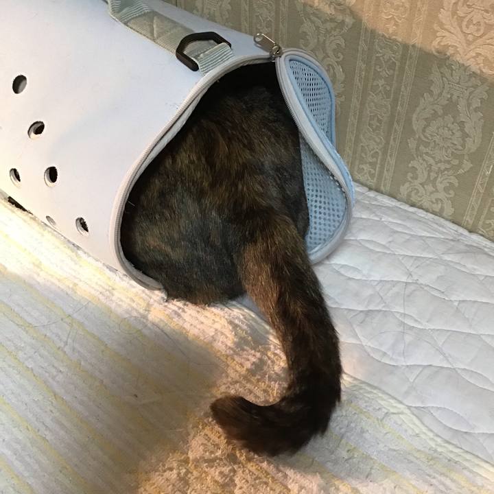 1f35c1a6 7485 446a 9834 f49b9d91f616 1666012639185