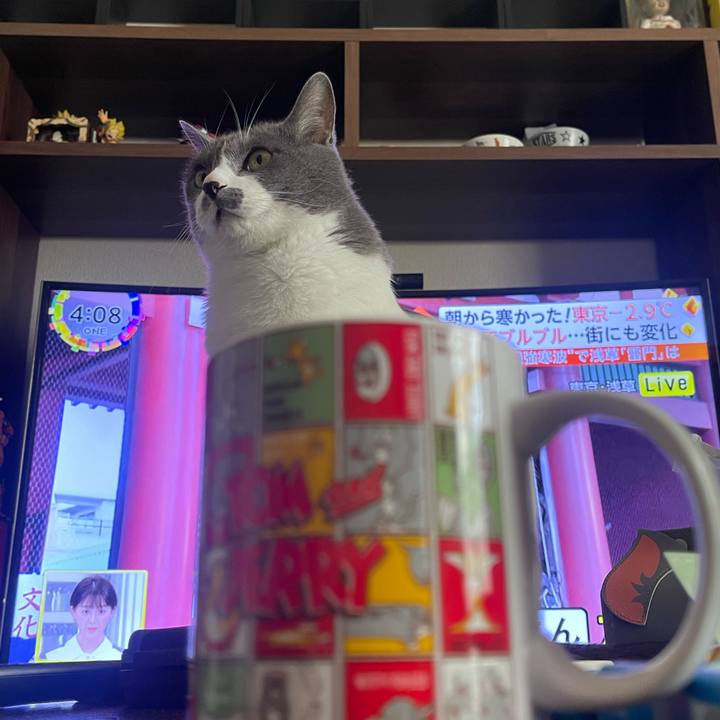 1f35d123 e6d7 4c53 ae34 f5b7d0d98e2c 1674630697193