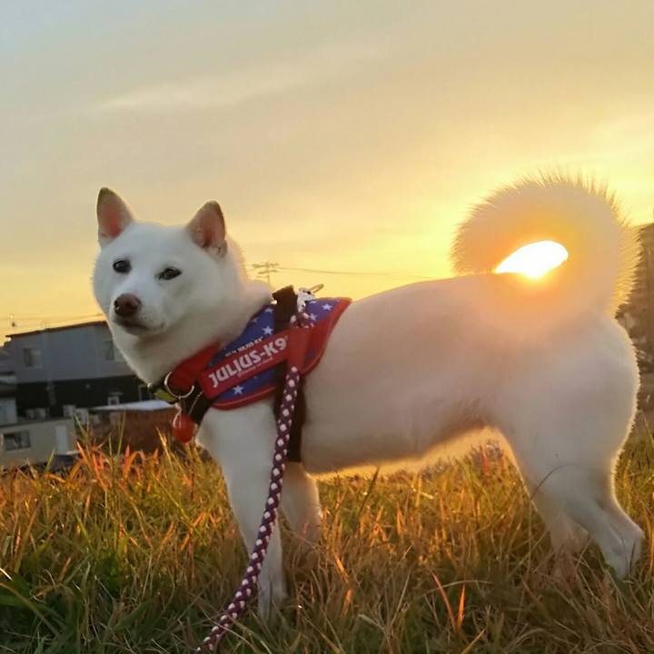 1f35e954 1598 439e 9dff 8c4332a41cd9 1573632855150