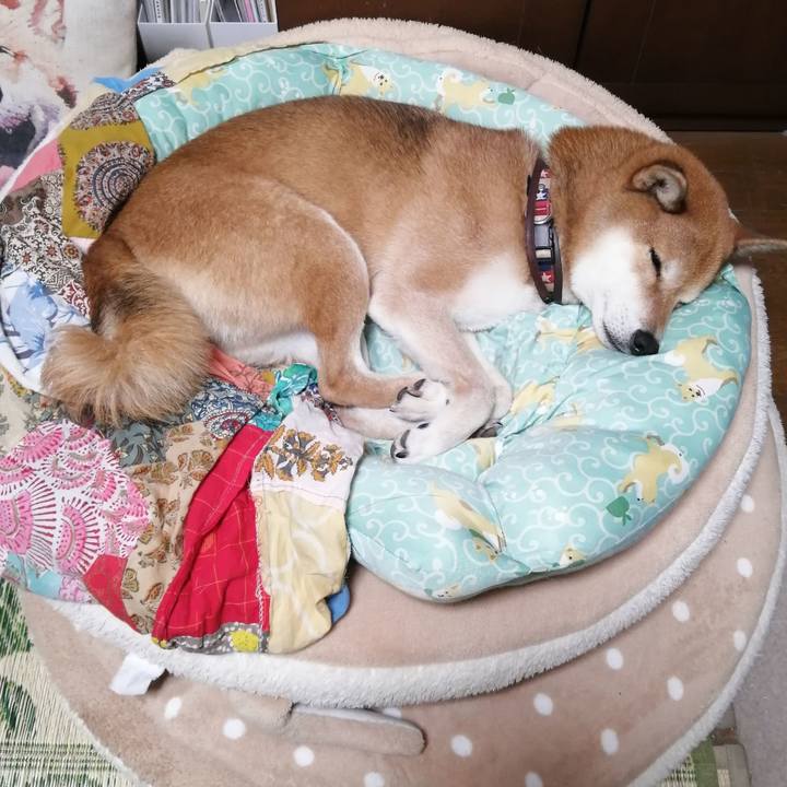 1f361ac8 837c 48e3 b105 5721febe4b96 1664722497695